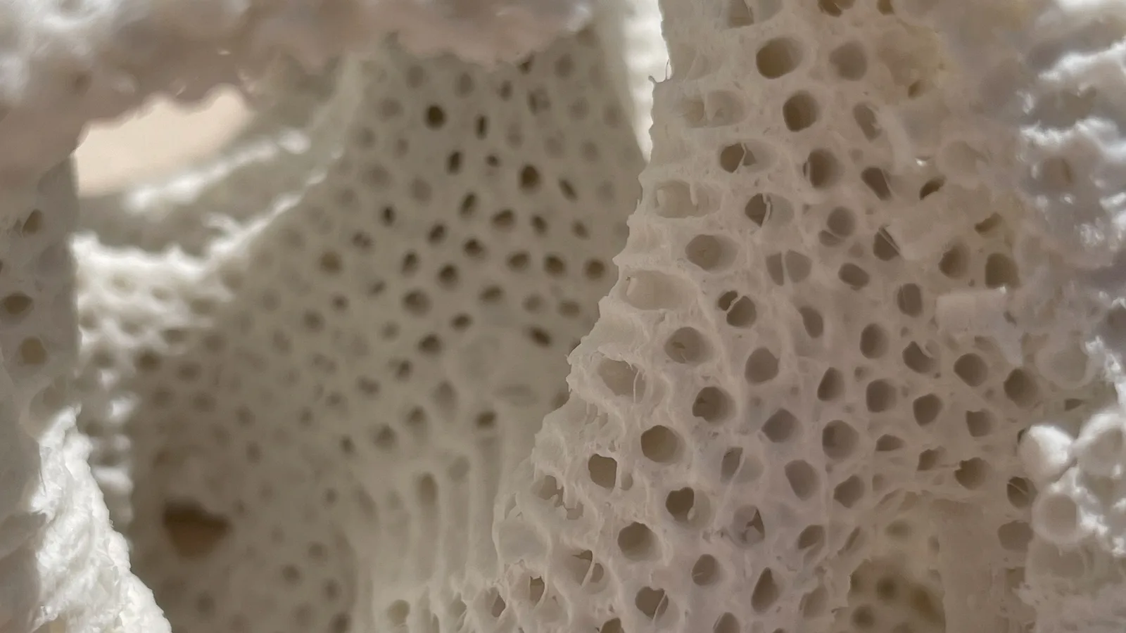 Impossible Ceramics
